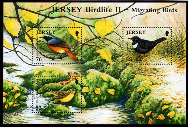 Migrating Birds