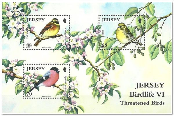 Birdlife VI b
