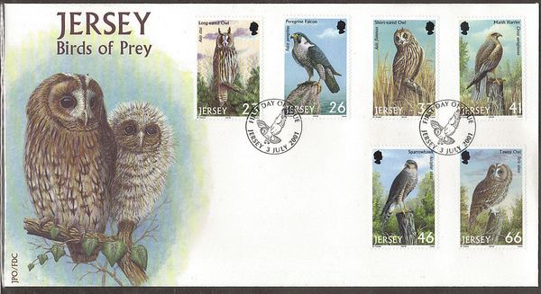 Tawny Owl (Strix aluco)