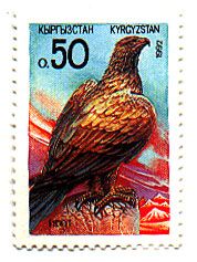 Imperial Eagle (Aquila heliaca)