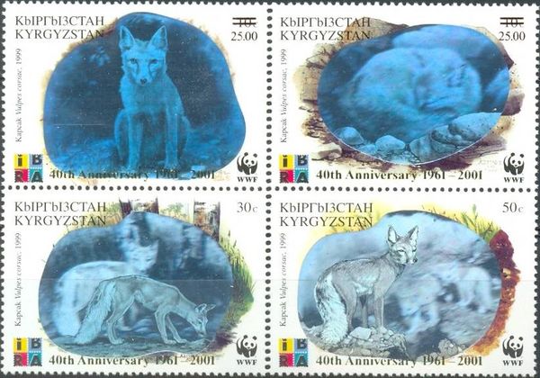 Corsac Fox (Vulpes corsac) - Overprint