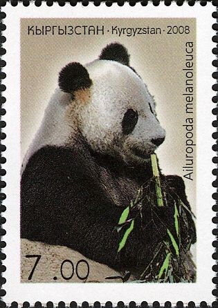 Giant Panda (Ailuropoda melanoleuca)