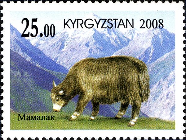 Mamalak Yak (Bos mutus)
