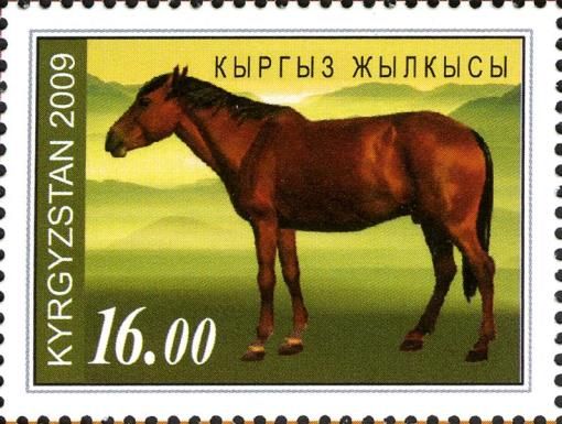 Bright Bay (Equus ferus caballus)