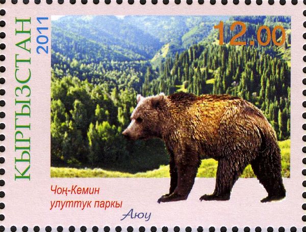 Chon-Kemin, Brown Bear (Ursus arctos)