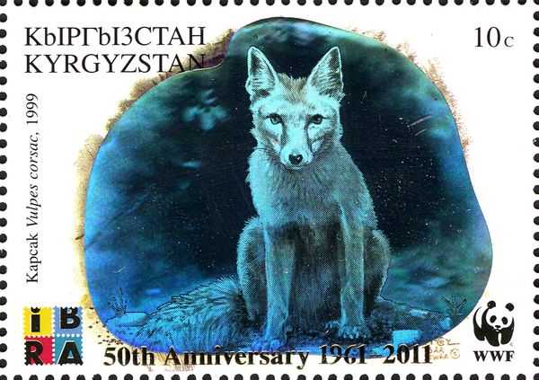 Corsac Fox (Vulpes corsac) - Overprinted