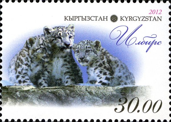 Snow Leopard (Panthera uncia), Adult and Cub