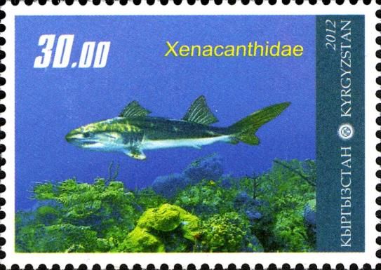 Xenacanthidae