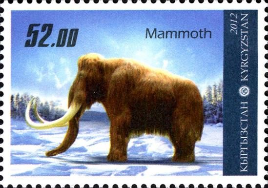 Woolly Mammoth (Mammuthus primigenius)