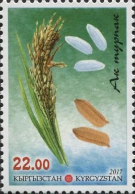 Types of Rice - Ak Turpak