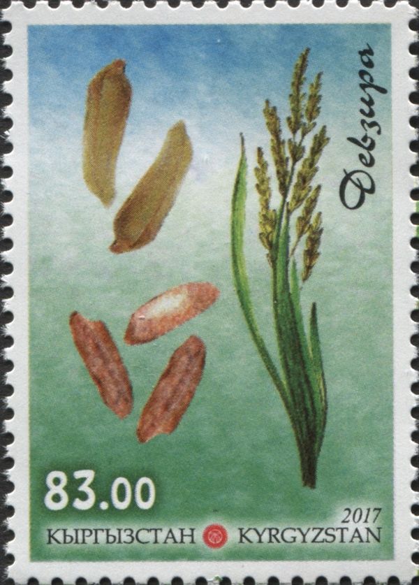 Types of Rice - Devzira