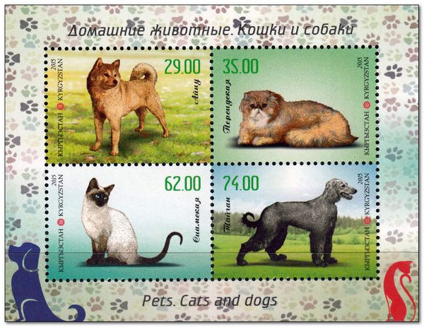 Pets - Cats and Dogs