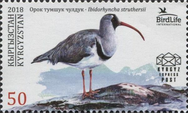 Flora and Fauna of Kyrgyzstan (2017)