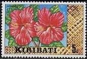 Hibiscus rosa-sinensis