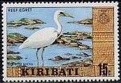 Reef Egret (Egretta sacra)