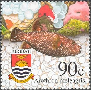 Guineafowl Puffer (Arothron meleagris)