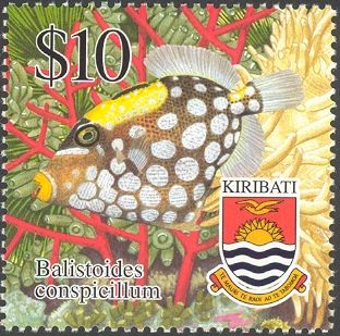 Clown Triggerfish (Balistoides conspicillum)