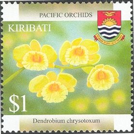 Dendrobium chrysotoxum
