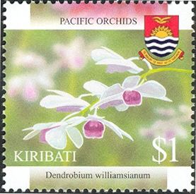Dendrobium williamsianum
