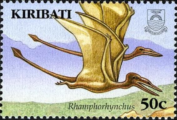 Rhamphorhynchus