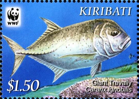 Giant Trevally (Caranx ignobilis)