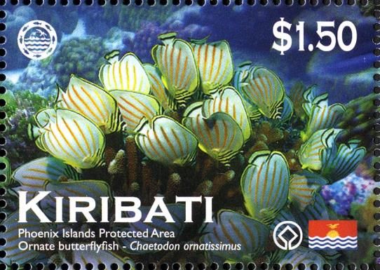 Ornate Butterflyfish (Chaetodon ornatissimus)