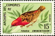Red-headed Fody (Foudia eminentissima)