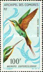 Blue-cheeked Bee-eater (Merops superciliosus)