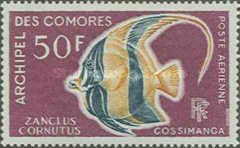 Moorish Idol (Zanclus cornutus)