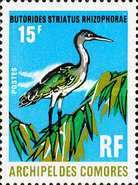 Striated Heron (Butorides stratius rhizophorae)