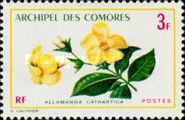 Allamanda cathartica