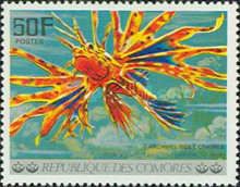 Red Lionfish (Pterois volitans)
