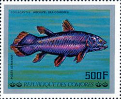 Coelacanth