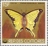 African Swallowtail (Papilio dardanus)