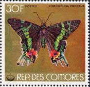 East African Sunset Moth (Chrysiridia croesus)