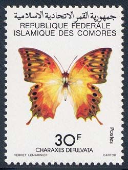 Butterfly (Charaxes defulvata)