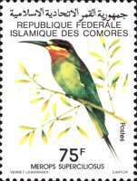 Olive Bee-eater (Merops superciliosus)