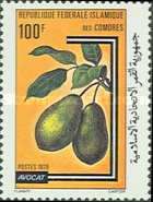 Avocado