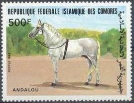 Andalusian Thoroughbred (Equus ferus caballus)