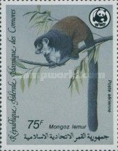 Mongoose Lemur (Eulemur mongoz)