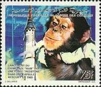 Chimpanzee Hal and rocket "Redstone"