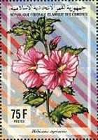 Hibiscus syriacus