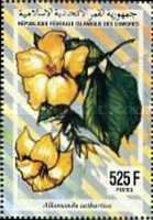 Allamanda cathartica