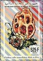Clathrus ruber