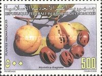 Nutmeg