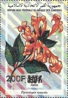 Pyrostegia venusta, overprint