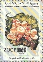 Lycogala epidendron, overprint