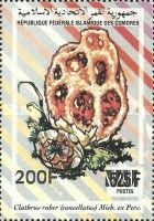 Clathrus ruber, overprint