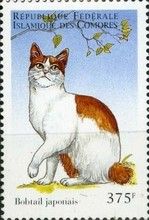Japanese bobtail