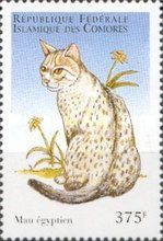 Egyptian mau